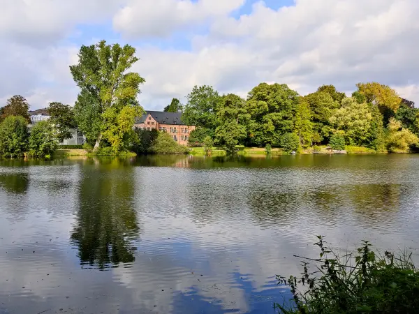 202309230-32 - Mühlenteich in Reinbek, Herzogtum Lauenburg und Stormarn, Schleswig-Holstein, Deutschland