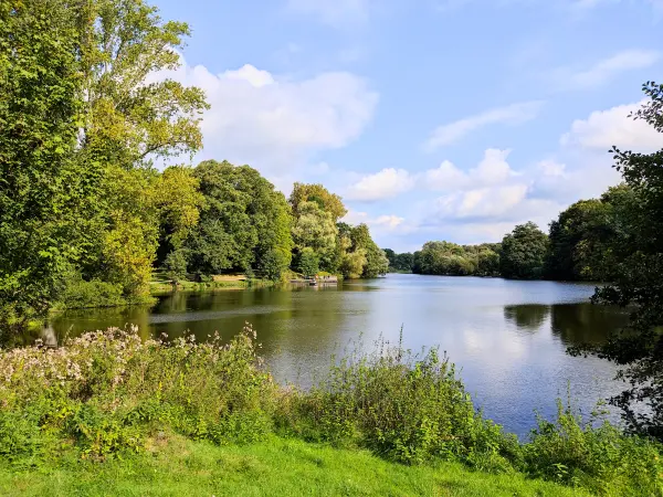202309230-33 - Mühlenteich in Reinbek, Herzogtum Lauenburg und Stormarn, Schleswig-Holstein, Deutschland