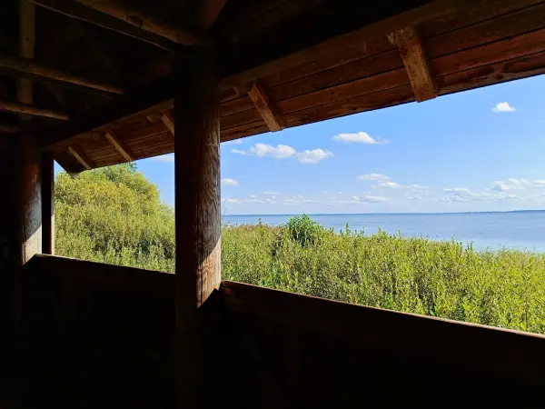 202508200-16 - Müritz an der Schnakenburg im Müritz-Nationalpark, Mecklenburgische Seenplatte, Mecklenburg-Vorpommern, Deutschland