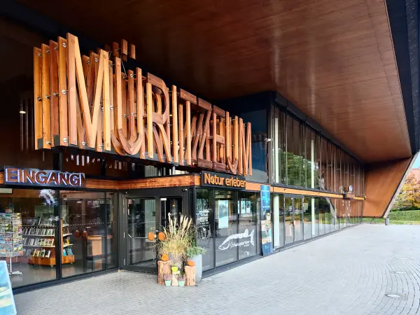 202310300-37 - Müritzeum in Waren, Mecklenburgische Seenplatte, Mecklenburg-Vorpommern, Deutschland