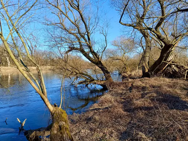 202603030-16 - Mulde in Dessau, Anhalt-Dessau-Wittenberg, Sachsen-Anhalt, Deutschland
