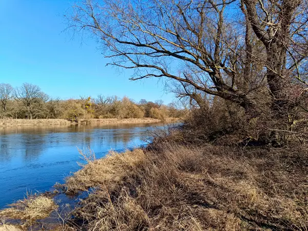 202603030-17 - Mulde in Dessau, Anhalt-Dessau-Wittenberg, Sachsen-Anhalt, Deutschland