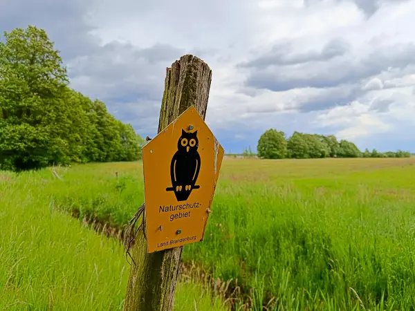 202505170-24 - Naturschutzgebiet am Groß Schauener See, Seenland Oder-Spree, Brandenburg, Deutschland