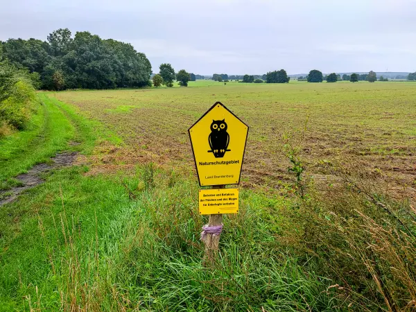 202308260-02 - Naturschutzgebiet in der Nuthe-Nieplitz-Niederung, Fläming, Brandenburg, Deutschland