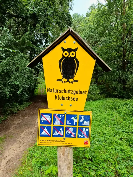 202508020-09 - Naturschutzgebiet Klobichsee bei Münchehofe, Märkische Schweiz, Seenland Oder-Spree, Brandenburg, Deutschland