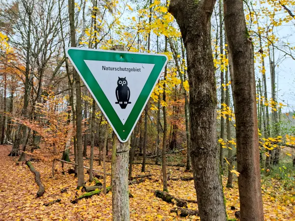 202311180-02 - Naturschutzgebiet Teufelsbruch im Spandauer Forst, Berlin, Deutschland