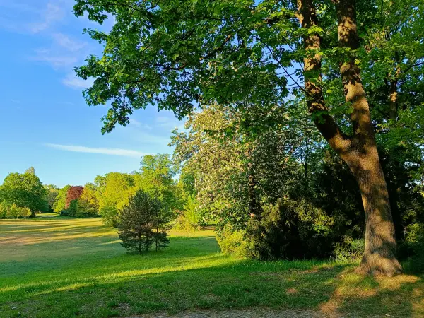 202504300-02 - Neuer Garten, Potsdam, Brandenburg, Deutschland