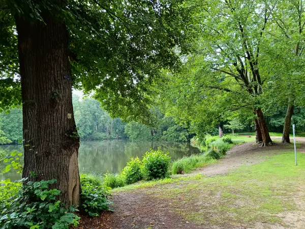 202507230-07 - Neuer See im Tiergarten, Berlin, Deutschland