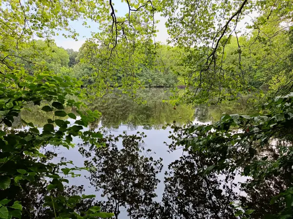 202507230-09 - Neuer See im Tiergarten, Berlin, Deutschland