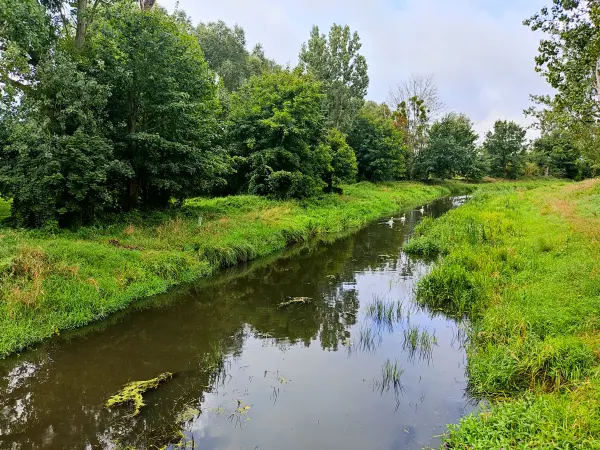 202308260-06 - Nieplitz bei Stangenhagen, Fläming, Brandenburg, Deutschland