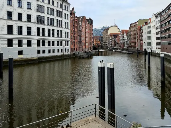 202308231-25 - Nikolaifleet in der Altstadt, Hamburg, Deutschland