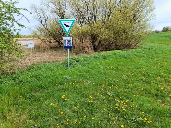 202404120-09 - NSG Schweenssand an der Süderelbe in Harburg, Hamburg, Deutschland
