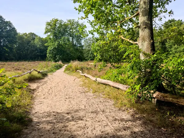 202309250-25 - NSG Wittenbergen in Rissen, Hamburg, Deutschland