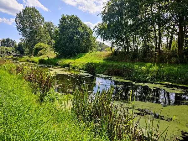 202308260-41 - Nuthe bei Schönhagen, Fläming, Brandenburg, Deutschland