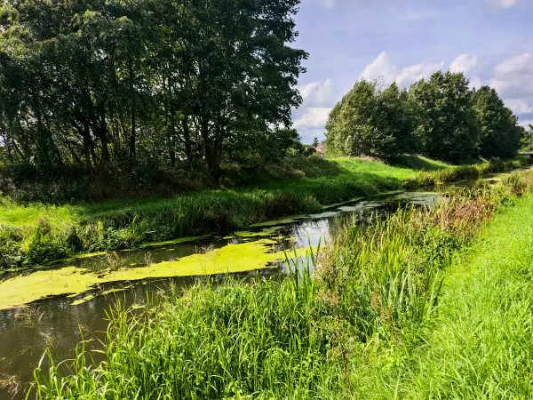 202308260-42 - Nuthe bei Schönhagen, Fläming, Brandenburg, Deutschland