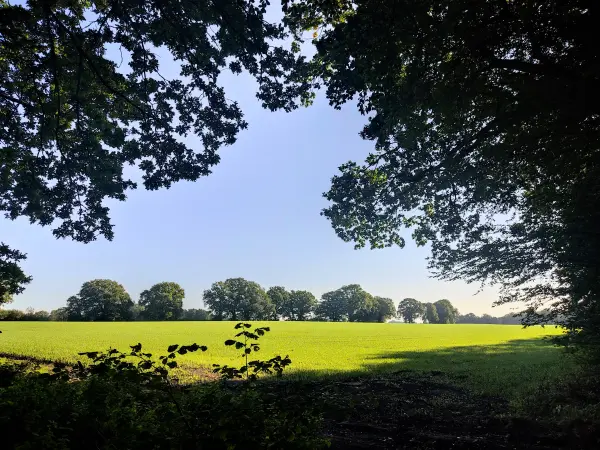 202309240-16 - Oberalsterniederung bei Rhen, Schleswig-Holstein, Deutschland