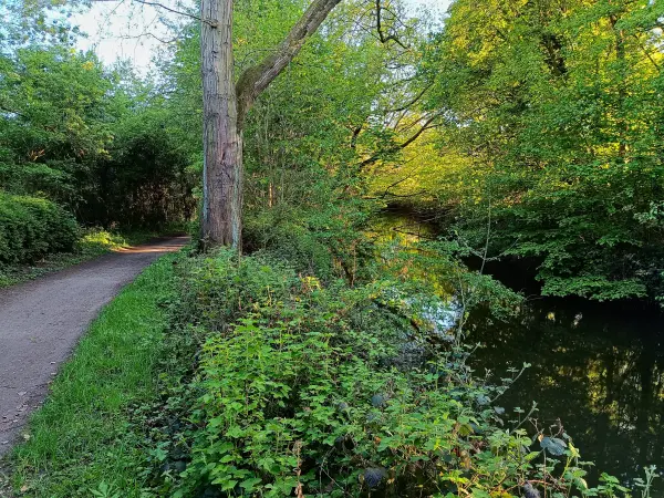 202604231-35 - Obererft in Neuss, Niederrhein, Nordrhein-Westfalen, Deutschland
