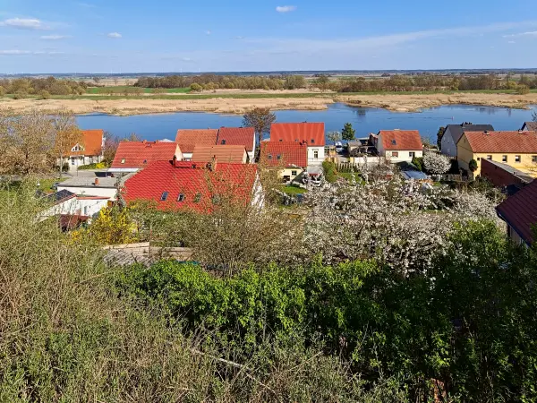 202604150-32 - Oder bei Lebus, Seenland Oder-Spree, Brandenburg, Deutschland