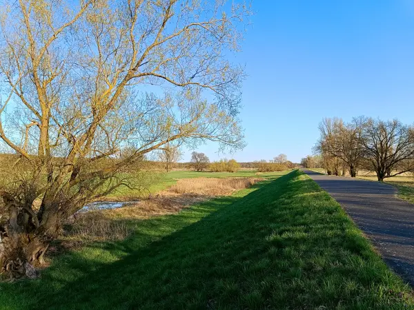 202604150-45 - Oderauen bei Frankfurt (Oder), Seenland Oder-Spree, Brandenburg, Deutschland