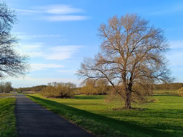 202604150-46 - Oderauen bei Frankfurt (Oder), Seenland Oder-Spree, Brandenburg, Deutschland