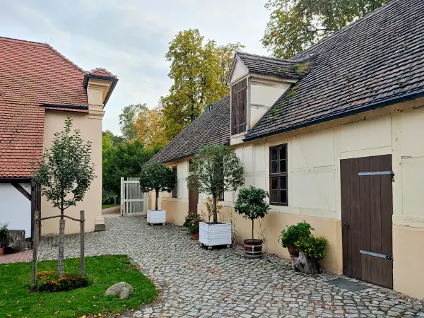 202310110-47 - Orangerie im Luisium bei Dessau, Anhalt-Dessau-Wittenberg, Sachen-Anhalt, Deutschland