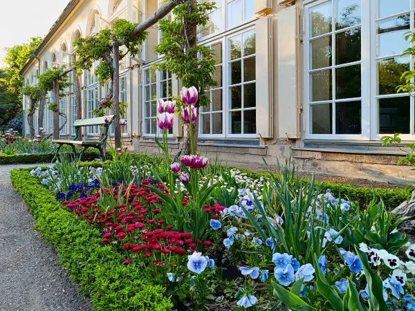 202504300-04 - Orangerie im Neuen Garten, Potsdam, Brandenburg, Deutschland