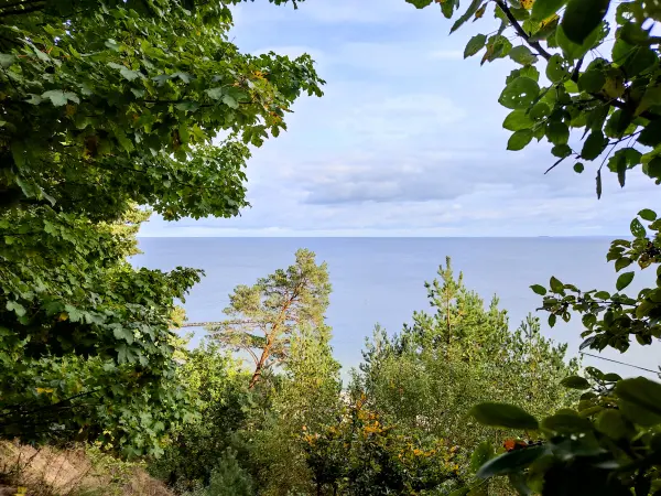 202310170-51 - Ostseeblick bei Koserow, Usedom, Mecklenburg-Vorpommern, Deutschland
