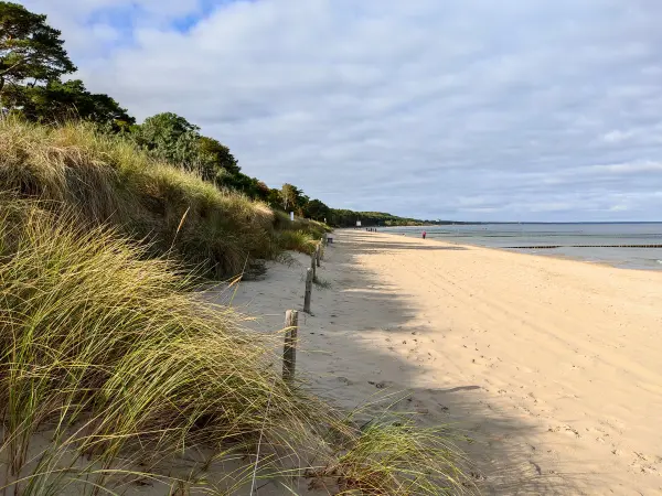 202310170-20 - Ostseestrand bei Zempin, Usedom, Mecklenburg-Vorpommern, Deutschland