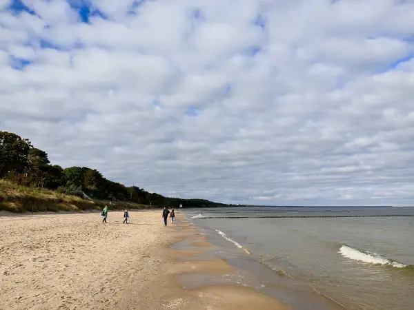 202310170-22 - Ostseestrand bei Zempin, Usedom, Mecklenburg-Vorpommern, Deutschland