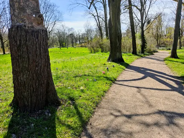 202304120-29 - Park am Gutshaus in Mahlsdorf, Berlin, Deutschland
