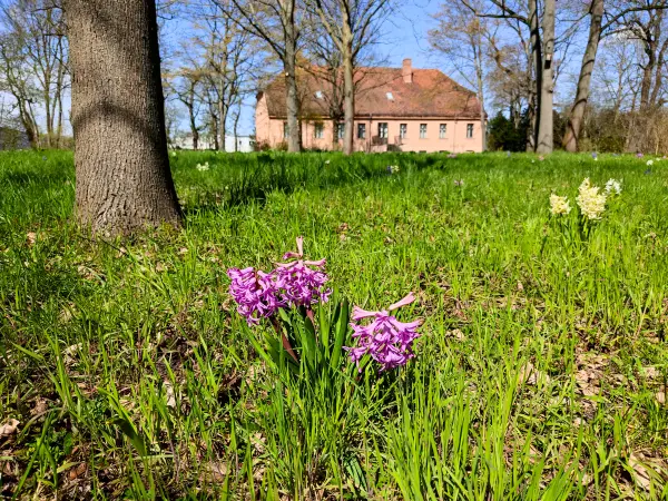 202304120-30 - Park am Gutshaus in Mahlsdorf, Berlin, Deutschland