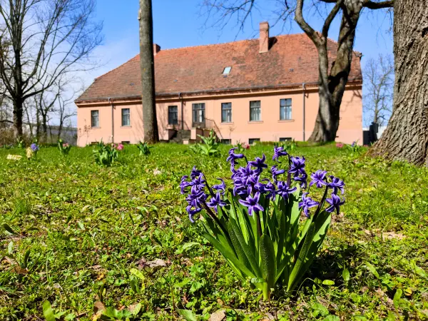 202304120-31 - Park am Gutshaus in Mahlsdorf, Berlin, Deutschland