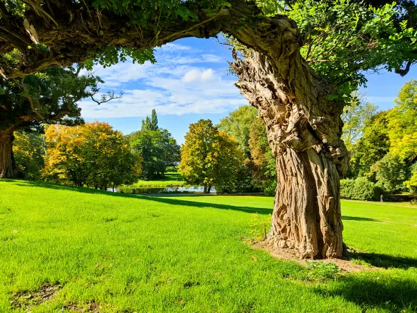 202210040-30 - Park Richmond in Braunschweig, Niedersachsen, Deutschland