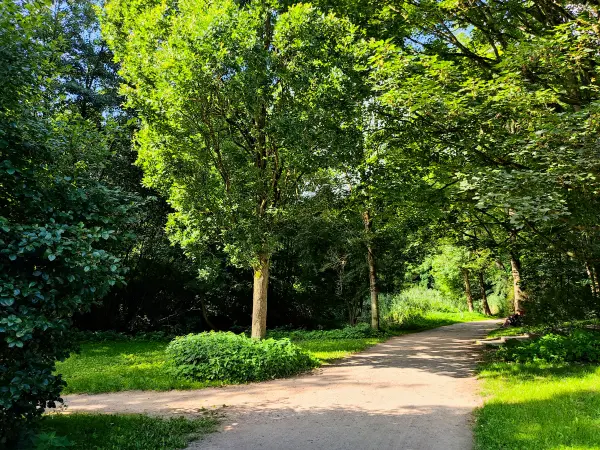 202308230-01 - Pastorenstieg in Volksdorf, Hamburg, Deutschland