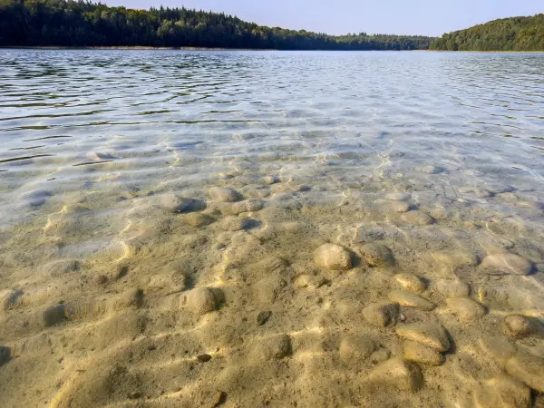 202309110-25 - Peetschsee bei Neuglobsow, Ruppiner Seenland, Brandenburg, Deutschland