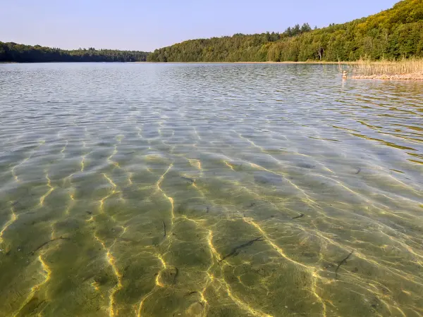 202309110-26 - Peetschsee bei Neuglobsow, Ruppiner Seenland, Brandenburg, Deutschland