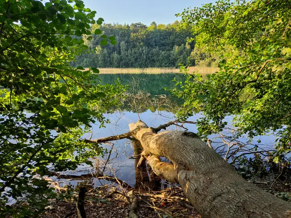 202309110-30 - Peetschsee bei Neuglobsow, Ruppiner Seenland, Brandenburg, Deutschland