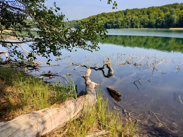 202309110-16 - Peetschsee bei Steinförde, Ruppiner Seenland, Brandenburg, Deutschland