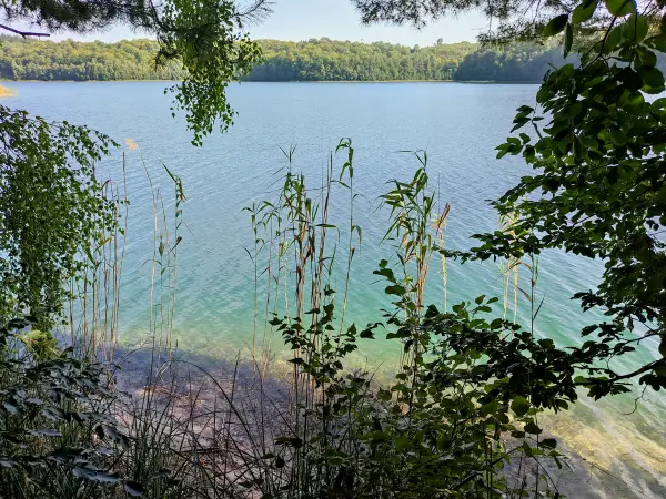 202309110-18 - Peetschsee bei Steinförde, Ruppiner Seenland, Brandenburg, Deutschland