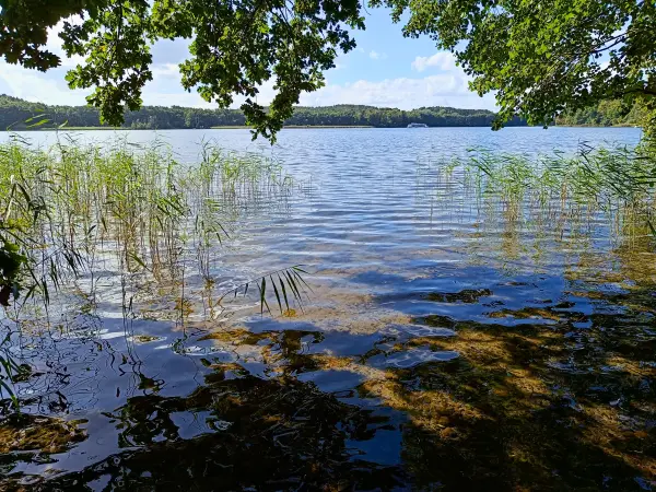 202509120-18 - Petersdorfer See, Mecklenburgische Seenplatte, Mecklenburg-Vorpommern, Deutschland