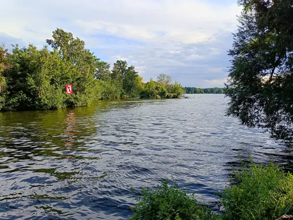 202507300-22 - Petzinsee bei Geltow, Brandenburg, Deutschland