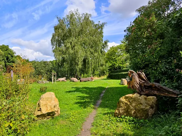 202308090-03 - Pfad an der Saale bei Halle, Sachsen-Anhalt, Deutschland