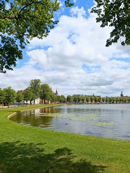 202507030-05 - Pfaffenteich in Schwerin, Mecklenburgische Seenplatte, Mecklenburg-Vorpommern, Deutschland