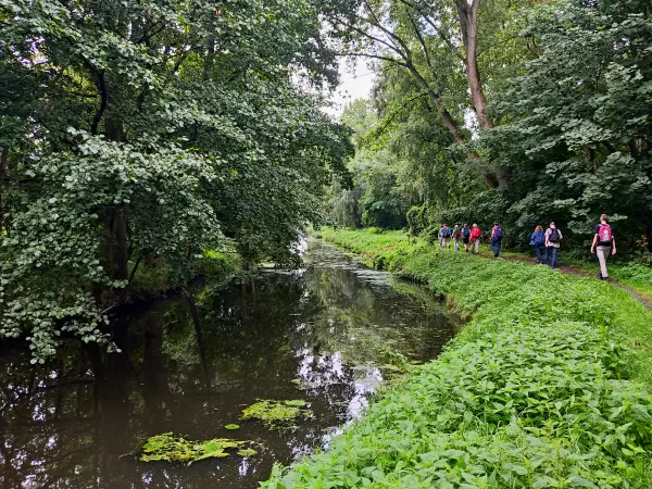 202308260-09 - Pfefferfließ bei Stangenhagen, Fläming, Brandenburg, Deutschland
