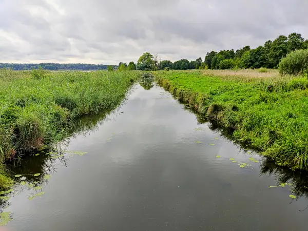 202308260-15 - Pfefferfließ bei Stangenhagen, Fläming, Brandenburg, Deutschland
