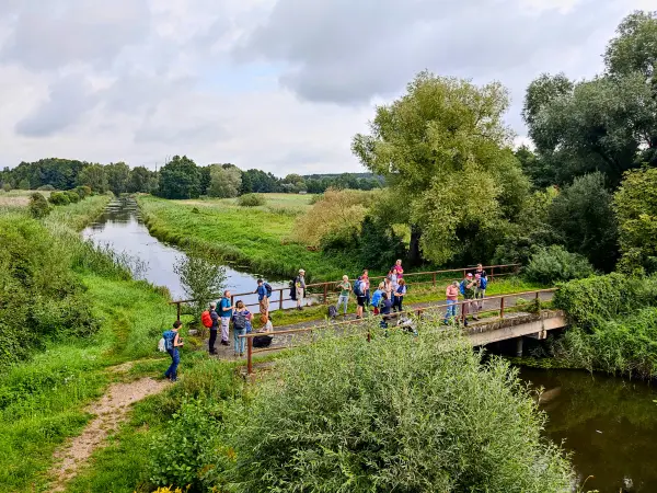 202308260-17 - Pfefferfließ bei Stangenhagen, Fläming, Brandenburg, Deutschland