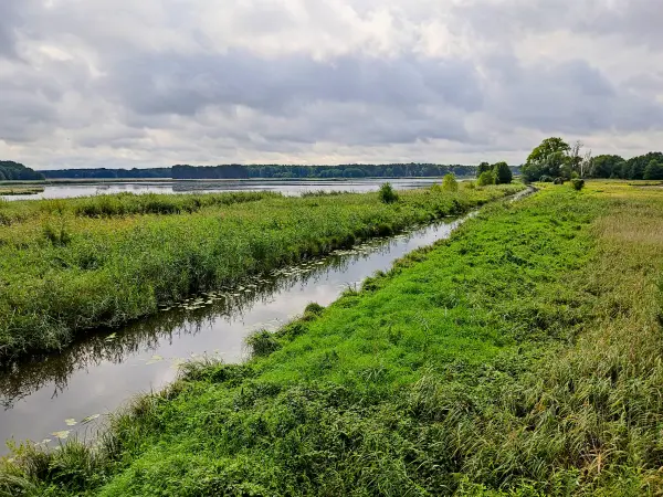 202308260-18 - Pfefferfließ bei Stangenhagen, Fläming, Brandenburg, Deutschland