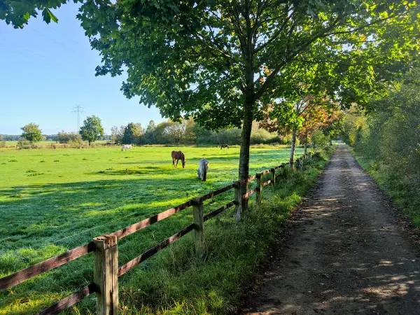 202309240-15 - Pferdekoppel bei Henstedt-Ulzburg, Schleswig-Holstein, Deutschland