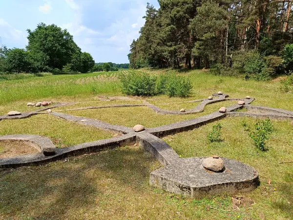 202505310-04 - »Pflanzenlabyrinth« auf dem Kunstwanderweg, Fläming, Brandenburg, Deutschland