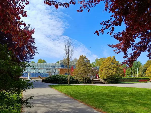 202604280-10 - Pflanzenschauhaus im Rombergpark in Dortmund, Ruhrgebiet, Nordrhein-Westfalen, Deutschland